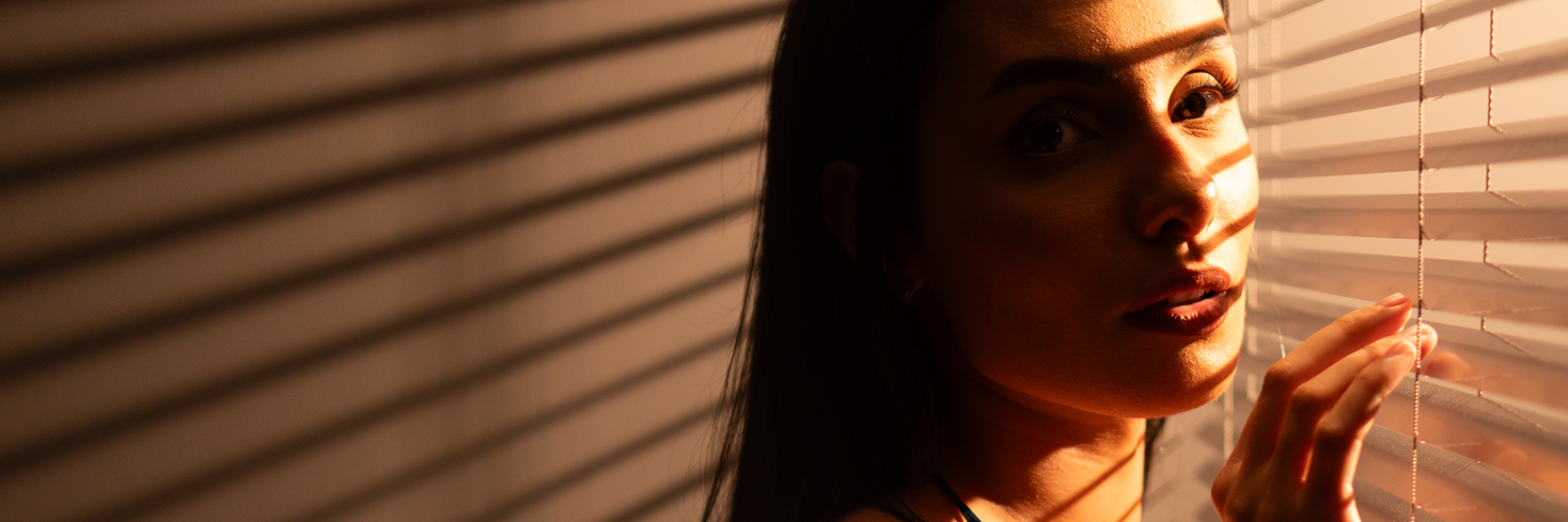 Sem Título-2_sitefran